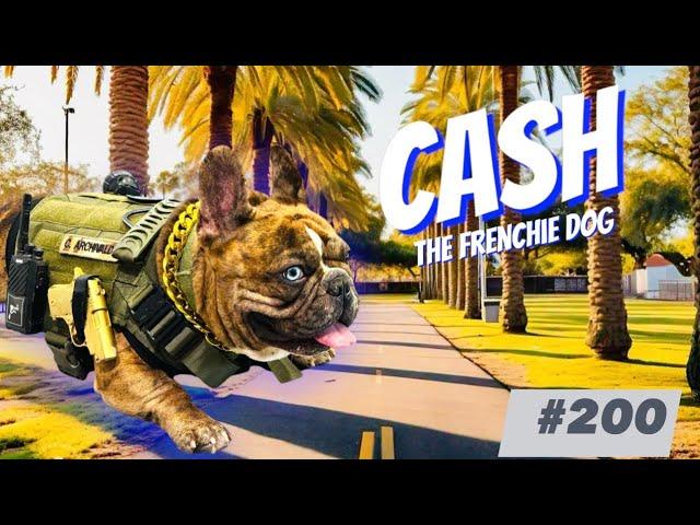 French Bulldog Daily Walking Cash Archivaldo Belicon #200