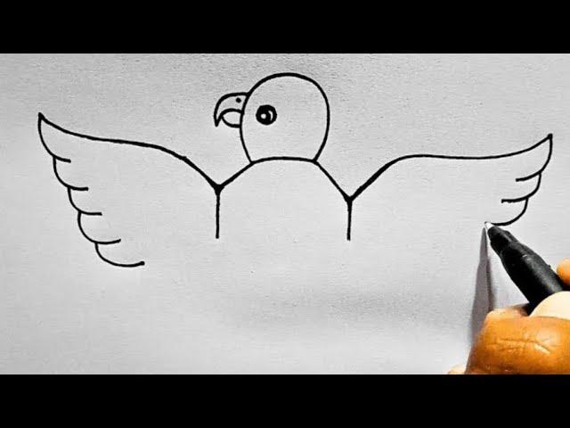 How to draw Parrot From Letter YY | Parrot Drawing Easy | Bird Drawing / Flying Parrot Drawing