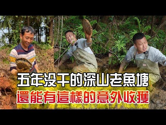 五年沒幹的深山老魚塘，還能有這樣的意外收獲！#農村生活 #戶外 #三農 #我要上熱門 #小飛哥#抓魚vlog