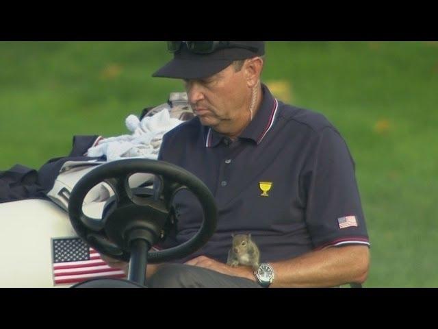 Assistant Captain Davis Love III's furry friend