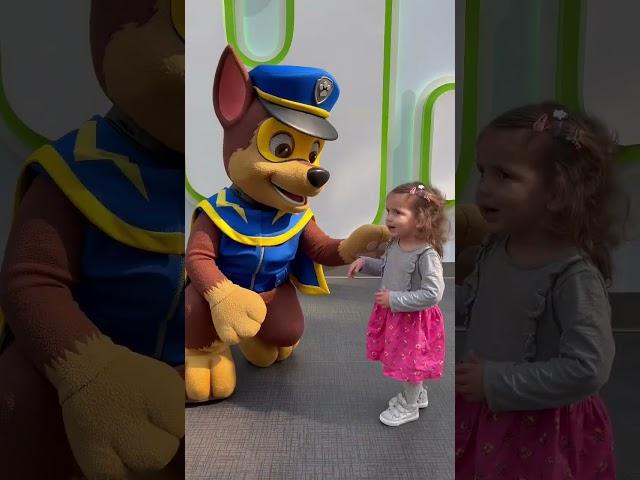 Paw patrol  #patrulhacanina #nickelodeon #chase #marshall