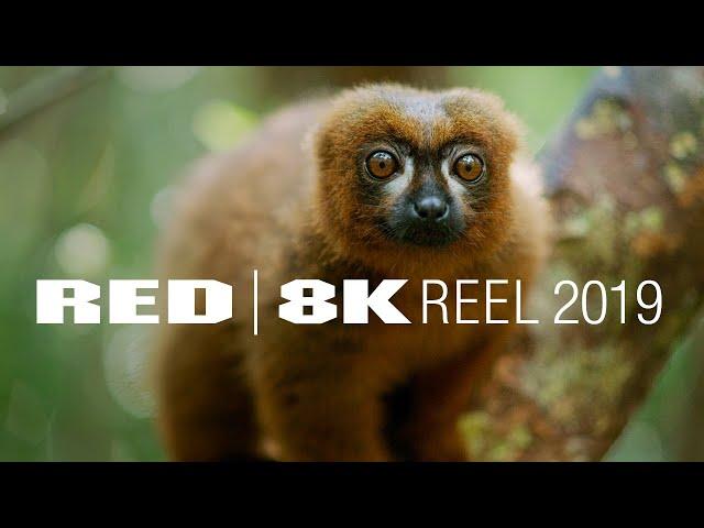 RESOLUTION MATTERS | 8K REEL | Shot on RED