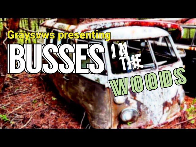 VW BUSSES IN THE WOODS | Junkyard estate since 72  | WOODS FIND | graysvws | SHORT HAULS | EP 20 |