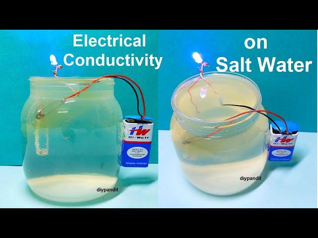 electrical conductivity with salt water - science experiment working model - diy | DIY pandit