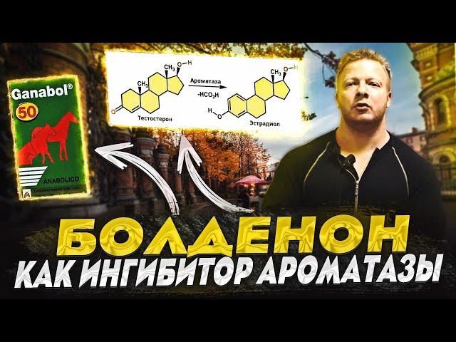 Болденон как ингибитор ароматазы(перезалив)