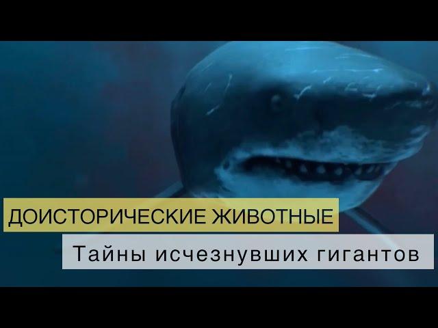 Доисторические животные. Тайны исчезнувших гигантов