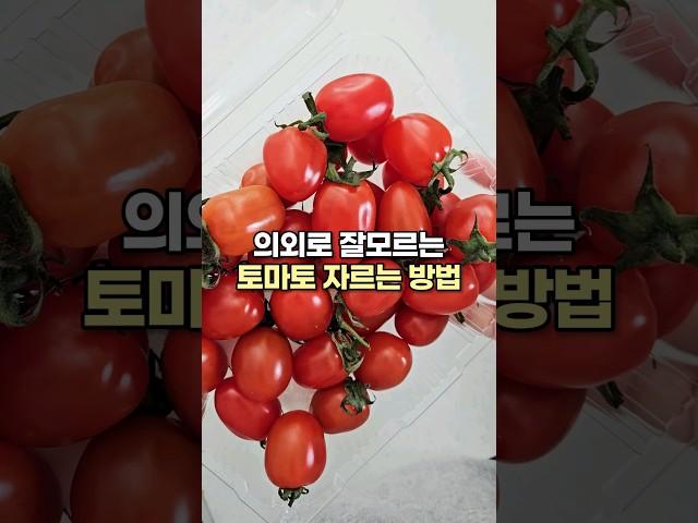 당신만 몰랐던 토마토 자르는 비밀