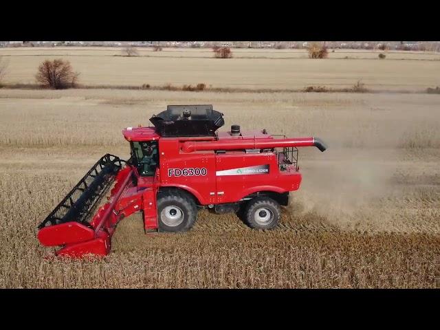 Демопоказ комбайна Agro-Lider FD6300_Омская область