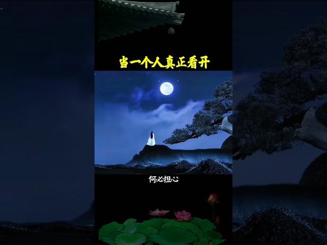 当一个人真正看开 修心修行 开悟人生 传统文化 人生智慧