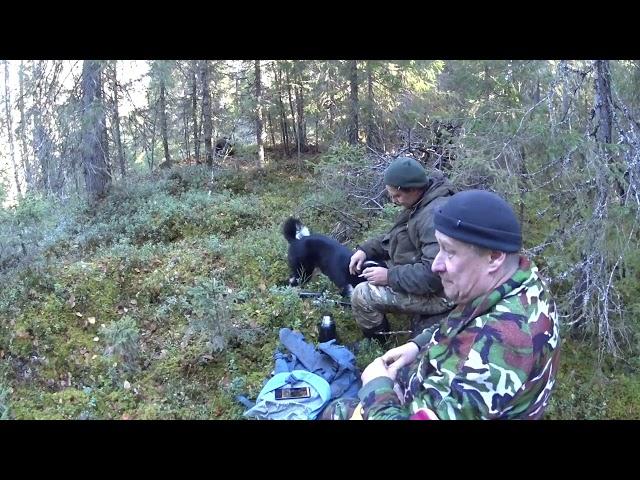 осень рыбалка Республика Коми большой поход продолжается Таёжный быт Таёжная жизнь таёжная изба
