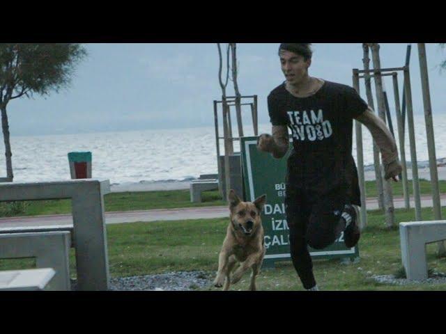 TAKLALI HIZ YARIŞI PARKOUR CHALLENGE