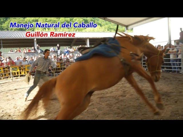 Caballo cerril repara y tira al jinete