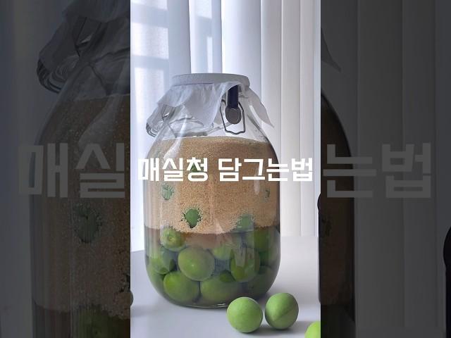 홍쌍리 매실청 담그는법