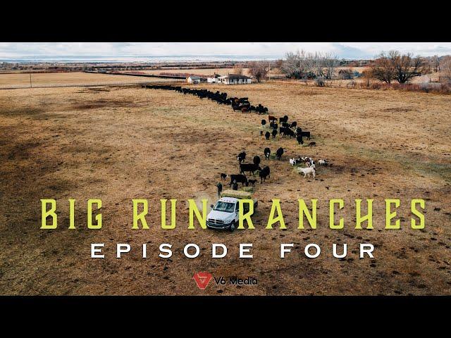 Big Run Ranches - Episode Four