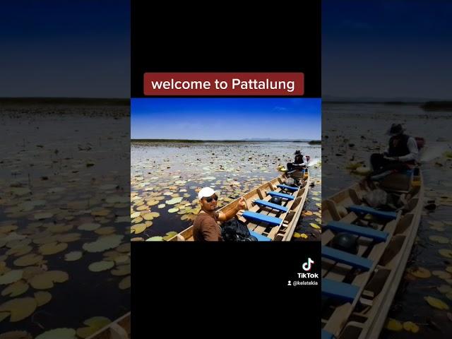 Temuilah Pattalung Thailand