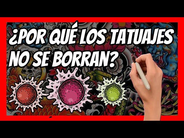 ¿POR QUÉ los TATUAJES no se BORRAN de tu PIEL?| La batalla oculta bajo tu piel