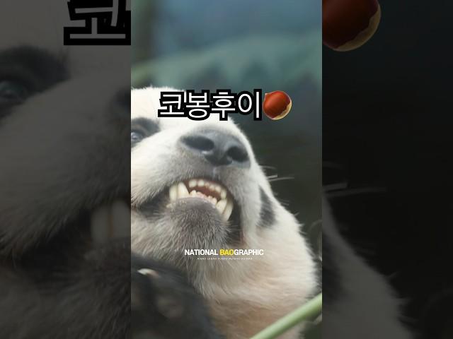코만 보인단 말이야~~~~