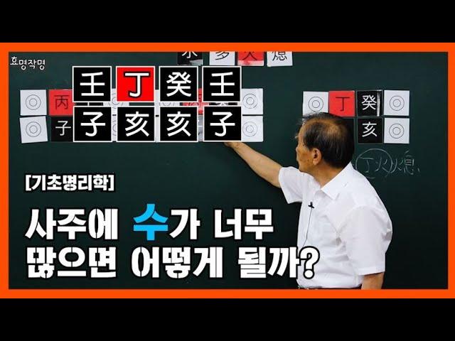 31강 사주에 수가 너무 많으면? [오행 왕약의 작용:]