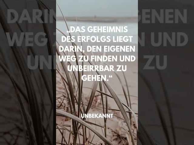 Das Geheimnis des Erfolgs #motivation #erfolg #sprüche #persönlichkeitsentwicklung #mindset #zitate