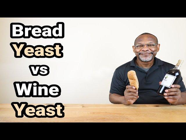 Bread Yeast vs Wine Yeast