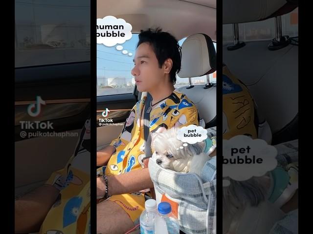 น้อลหมาคิดอะไรเวลาอยู่บนรถ