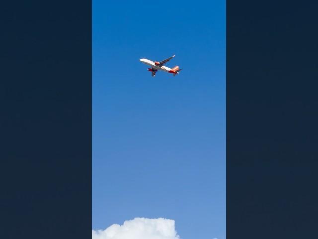 EasyJet - Airbus A320-214 Take Off From Tenerife-South [TFS] #shortsvideo #shorts #plane