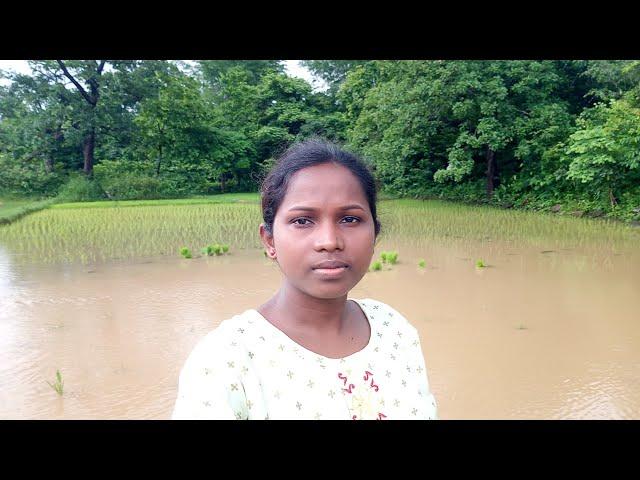 Rainy season came /heavy rain fall /bill started working /sambari tribe vlogs.