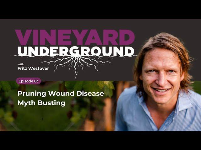 Ep63: Pruning Wound Disease Myth Busting #viticulture #wine #farming #grapewine