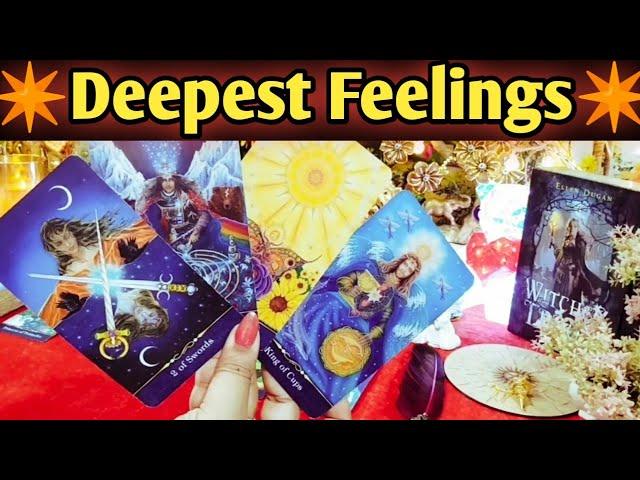 Current Feelings ⭐Messages From Your Person All Signs Collective Timeless Tarot Reading