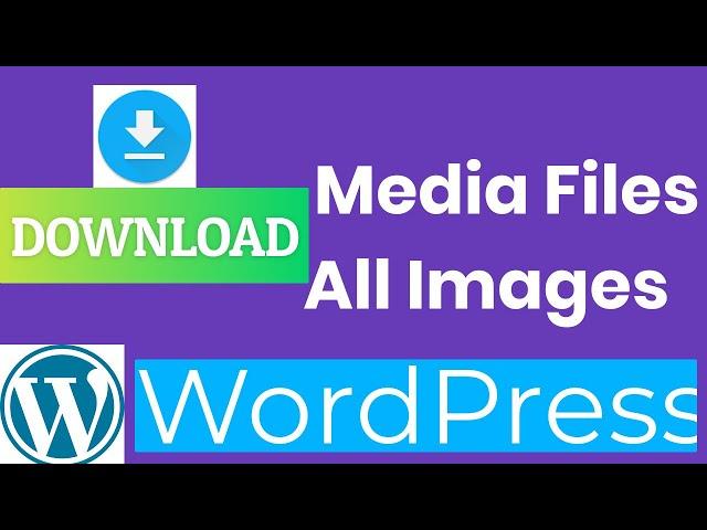 How to Download Media Files in WordPress | Download All Images in WordPress | Download Media Library