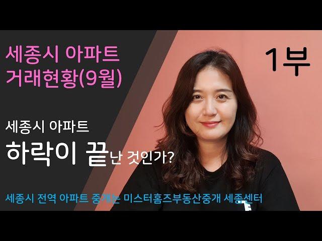 세종시 아파트 거래 1부 - 하락이 멈췄다고요? 2024년 9월거래현황 개괄