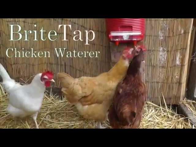 BriteTap Auto Chicken Nipple Waterer Quick Overview