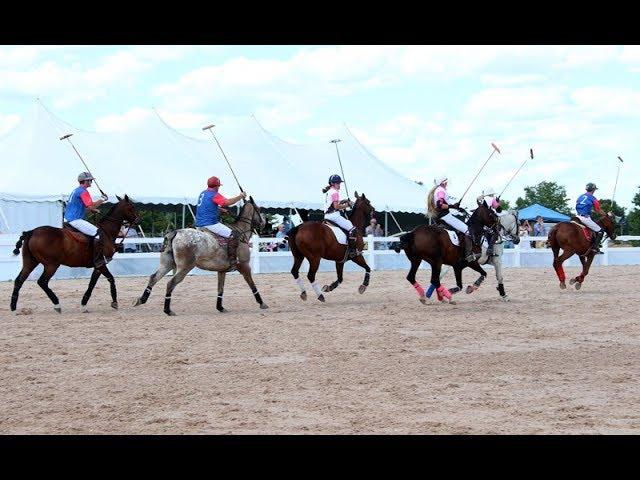 Polo in the Park helps to ‘stirrup’ excitement at Wesley Clover Parks