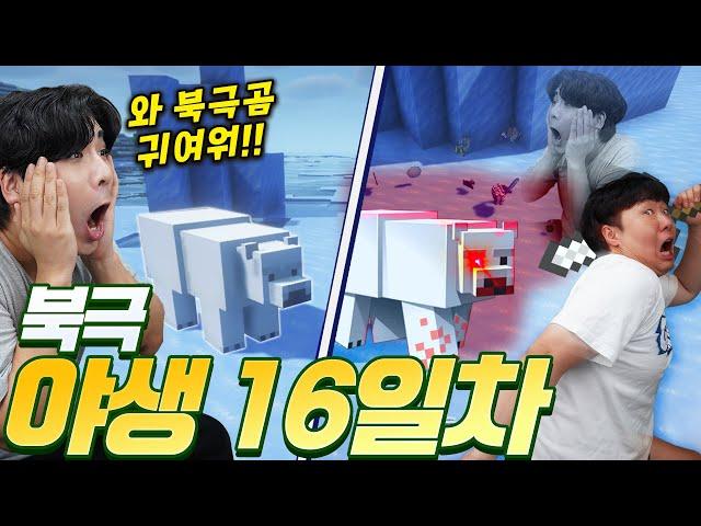 집으로 가다가 발견한 겨울왕국?! 귀여운 북극곰도 있... 끼야아아ㅏㄱ!!!!!