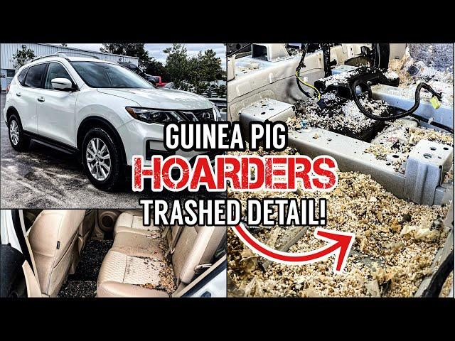 Hoarder's ABANDONED Guinea Pig Trashed Car Cleaned For The First Time | Insane Detailing Restoration