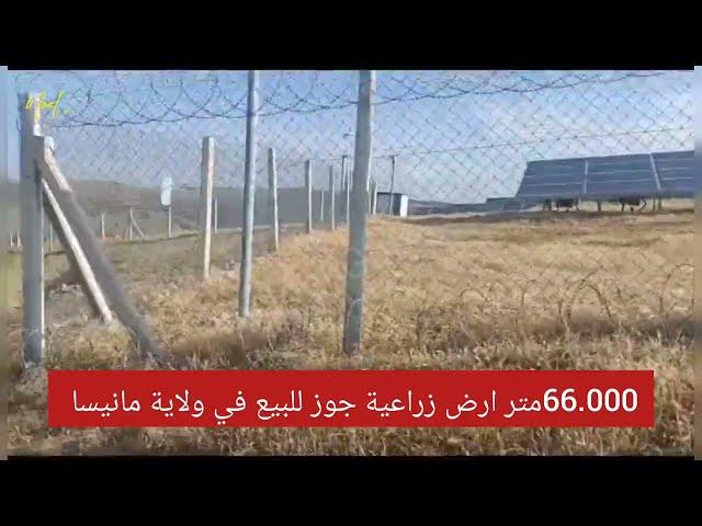 66.000متر ارض مزروعة جوز للبيع في ولاية مانيسا https://wa.me/c/905524755411