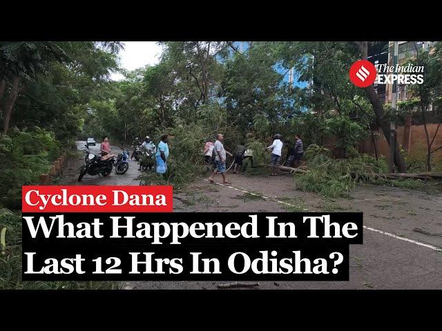 Cyclone Dana Hits Odisha: Uprooted Trees, Power Lines Down; All That Happened In Last 12 Hrs