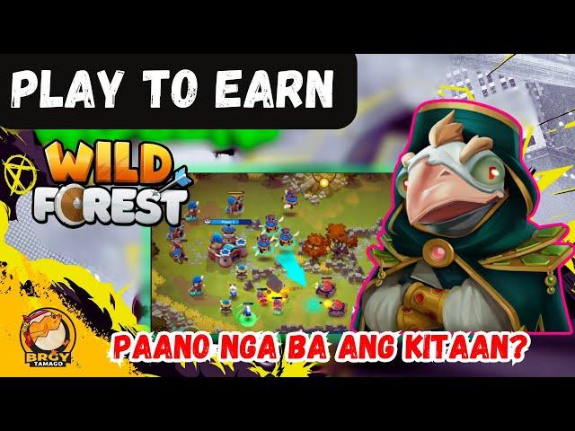 Wild Forest p2e Mechanics | Airdrop Season 2