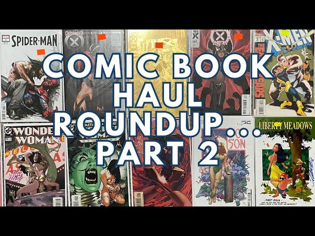 Comic Book Haul Roundup Part 2 | Minnesota Comic Geek