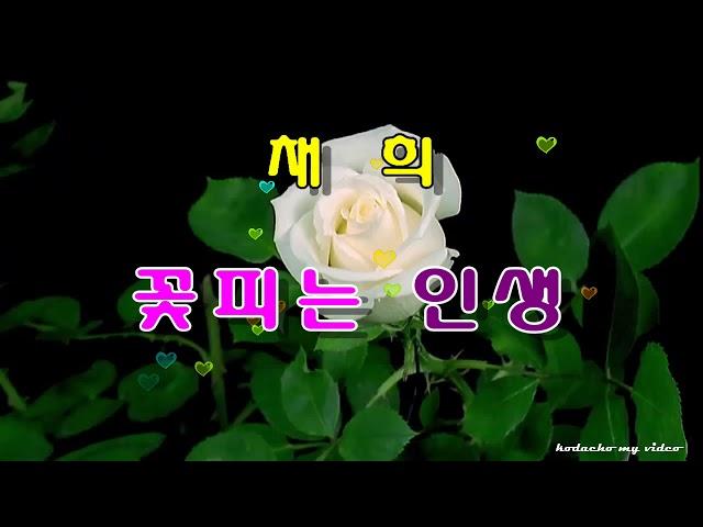채 희  꽃피는 인생 (2017년 7월 5일 정규앨범 수록곡)