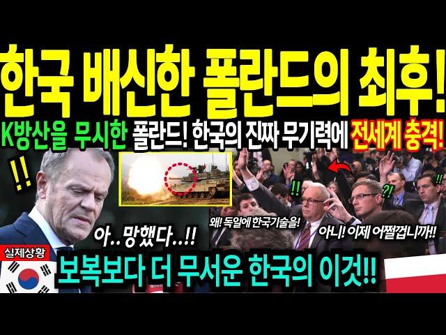 [해외감동사연] 한국 배신한 폴란드의 최후! 한국 무기보다 더 무서운 이것에 폴란드 벌벌 떠는 이유! 전세계 충격!