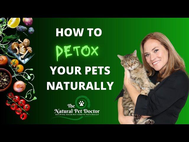 How to Detox Your Pet Naturally ( Top 3 Tips ) with Dr. Katie Woodley - The Natural Pet Doctor