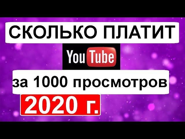 Сколько платит ютуб за 1000 просмотров 2021 новичкам