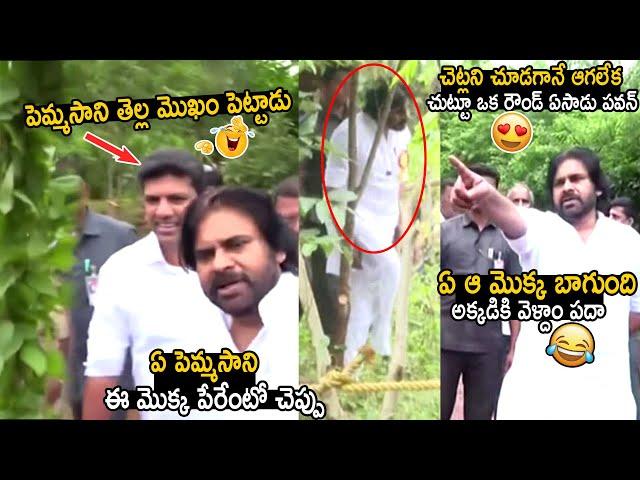 Pemmasani Chandrasekhar Reaction Towards Pawan Kalyan Enjoying In Forest | Telugu Cinema Brother