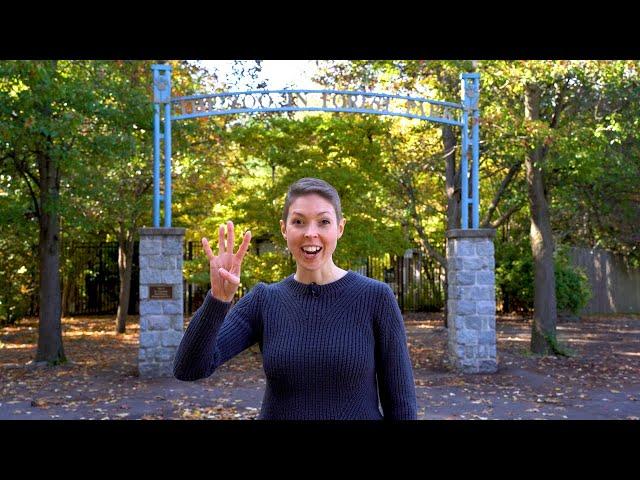 Forest Park: Nature & Entertainment in Springfield, Massachusetts | Best in the Nest Series