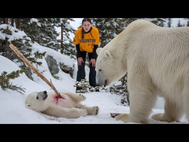 A rescue team saves a baby bear, giving it hope and a second chance at life