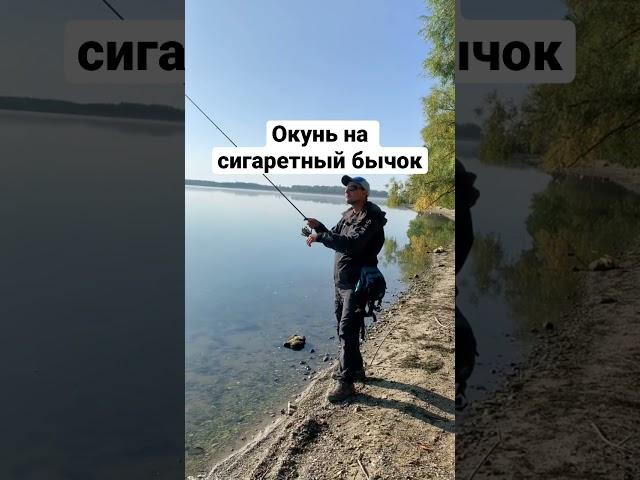 Буває так,що приманка не головне #fishing #fishingvideo #youtubeshorts #youtuber #рыбалка