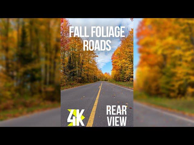 Stunning 4K HDR Autumn Drive (Rear View) | North Cascades NP Fall Foliage for Vertical Screens