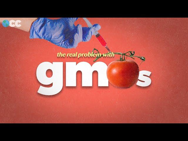 The real problem with GMO Food