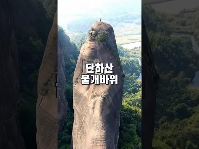 물개를 닮은 신비한 광동성의 유명 바위